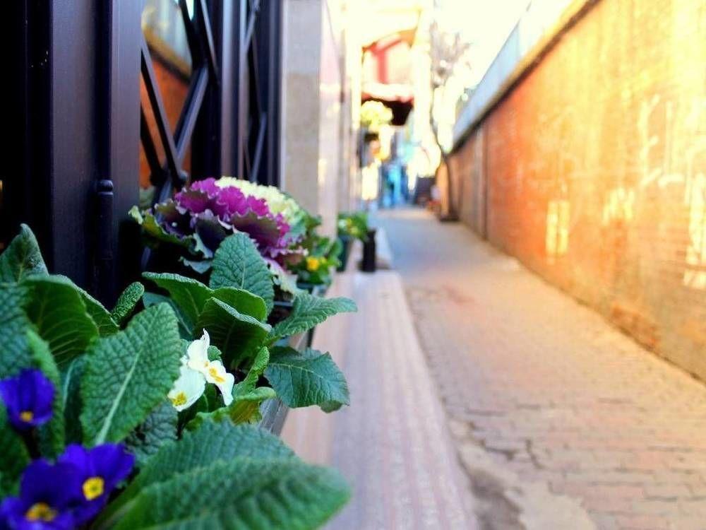 Fide Hotel Стамбул Экстерьер фото